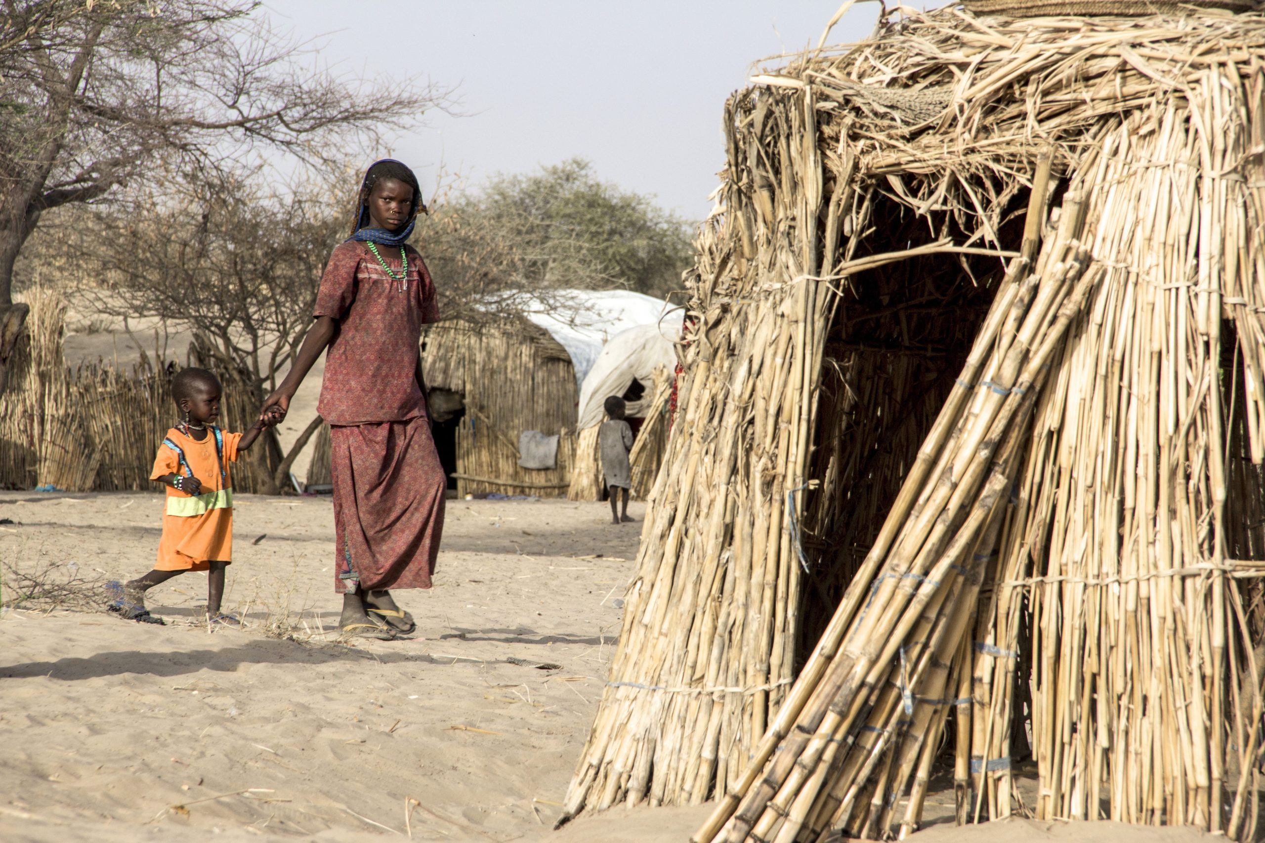 <p>L’analyse de protection en soutien de la réponse à la crise au <strong>Sahel</strong></p>
