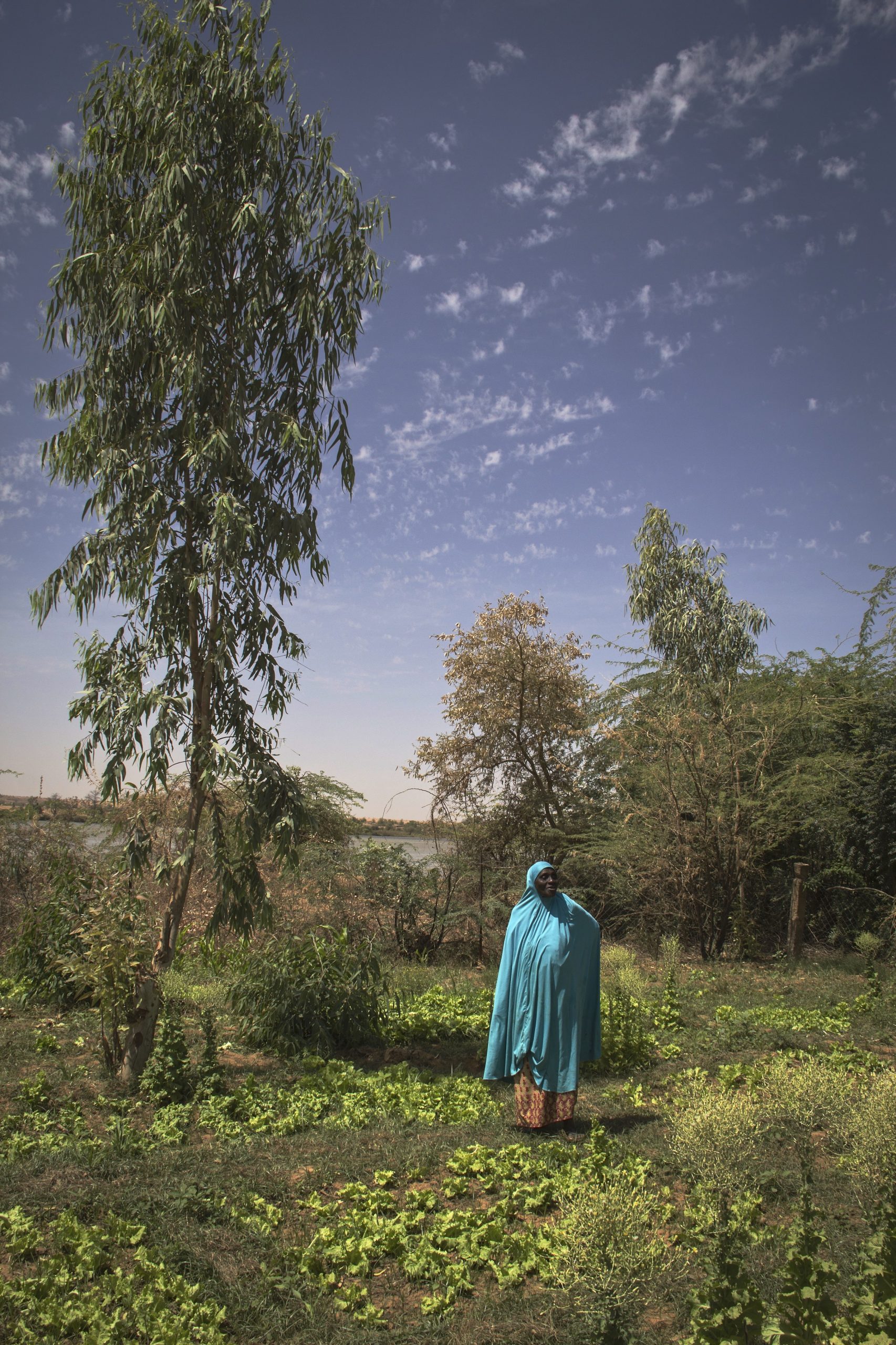 <p><strong>Niger</strong></p>
