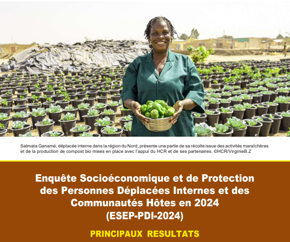 [Burkina Faso] Enquête Socioéconomique et de Protection des Personnes Déplacées Internes et des Communautés Hôtes – Janvier 2026